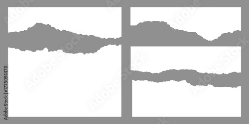 Realistic paper rips texture background