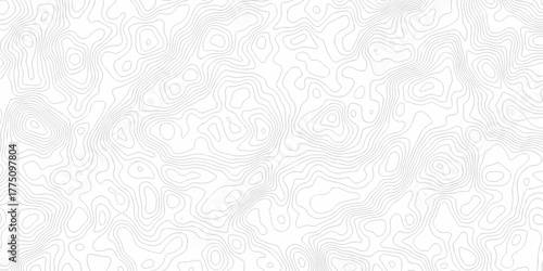 Abstract minimal The pattern discovery vector topo map creative discovery White wave grid stripe line map topography. vector geographic contour mounted map background.	
