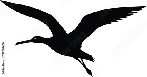 Flying Albatross Bird Silhouette Icon Isolated on White Background