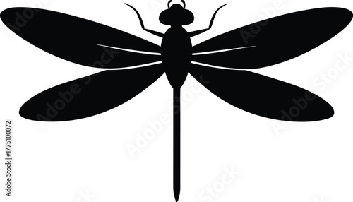 Dragonfly Silhouette Vector – Black Insect Icon with Wings Spread Isolated on White Background