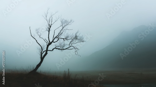 Wallpaper Mural Single dead tree silhouette in misty landscape creating melancholic natural scene with atmospheric mood for environmental art composition contemplative artistic concept and minimal landscape. Torontodigital.ca