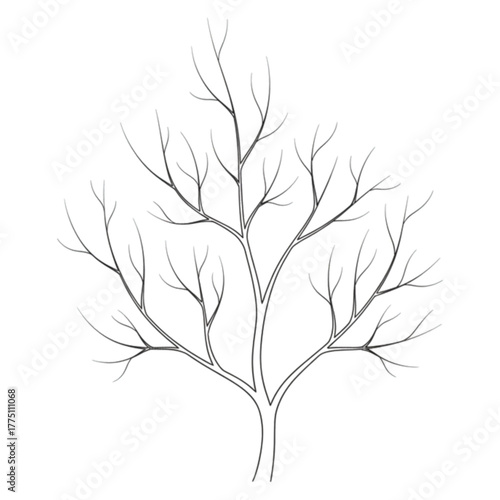 Bare Branch Sketch vector illustra: A delicate sketch of a bare tree branch, its intricate network of twigs and branches reaching gracefully. It’s perfect for adding an artistic touch to your designs.