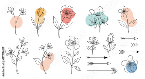 Set of delicate hand-drawn botanical line art flowers and arrows with organic pastel color accents on a white background.