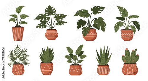 set of plants in pots
