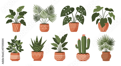 set of plants in pots