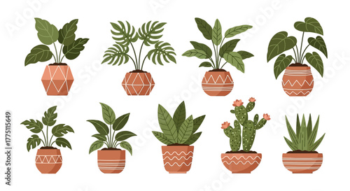 set of flowers in pots