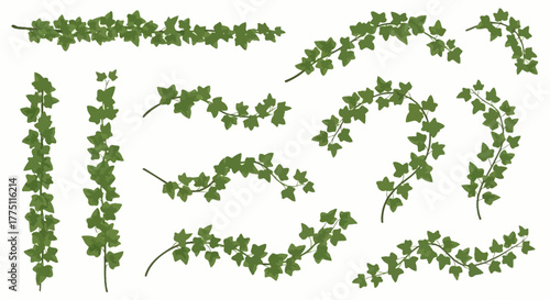 green grass isolated on white