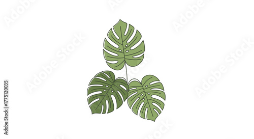 Elegant monstera deliciosa leaf illustration, adding a tropical flair to minimalist design with