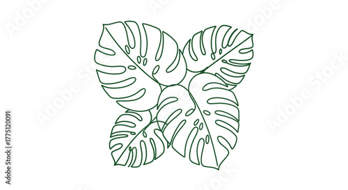 Monstera plant leaves arrangement in line art design perfect for nature themed graphic works