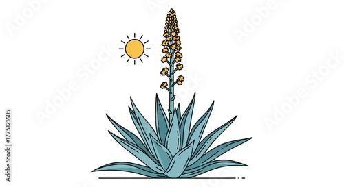 Illustration of an agave plant with flower stalk and a stylized sun on a white background