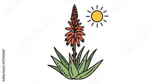 Colorful illustration of flowering aloe vera plant under a beaming sun graphic design