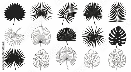 Exotic Vector Art Collection of Tropical Palm Leaves for Graphic Design Projects