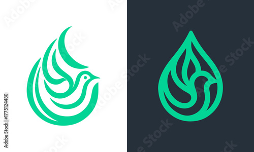 Elegant abstract green dove bird logo design with water  drop on white and dark backgrounds