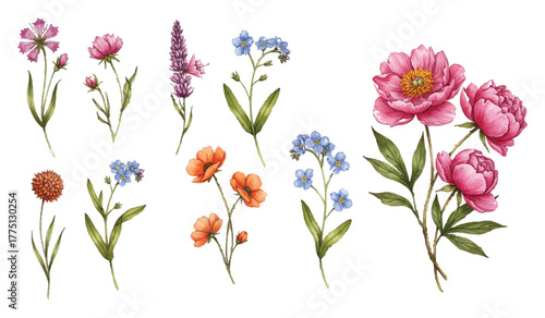 A delightful collection of watercolor illustrations featuring a variety of vibrant wildflowers and botanical elements, perfect for artistic and naturalistic designs.