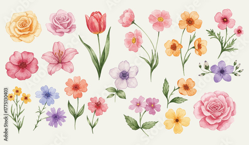 Beautiful Watercolor Floral Collection Delicate Blossoms in Various Colors and Styles, Perfect for Spring and Summer Designs