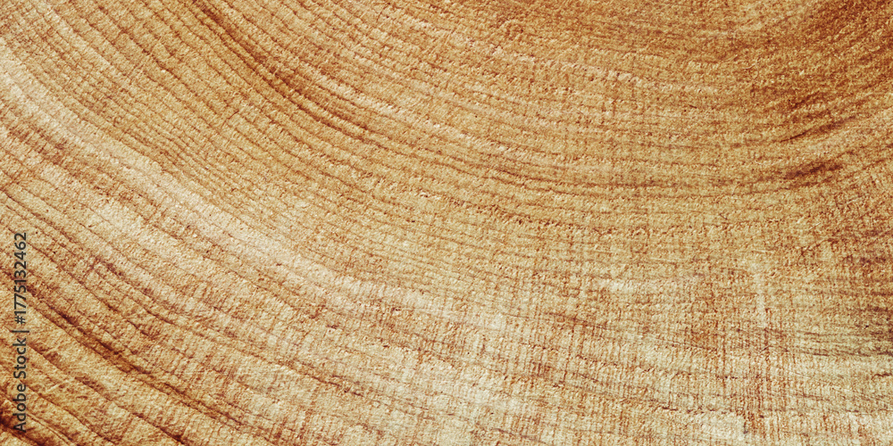 Fototapeta premium Close Up of Wooden Tree Rings with Natural Texture, Banner with tree rings at natural growth patterns and textures of wood. Circular lines and warm earthy tones, nature organic aesthetic background