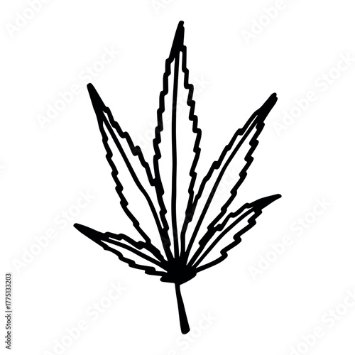 Hand drawn cannabis leaf Medicine marijuana Hemp leaves clipart in doodle style Single element for print, web, design, decor