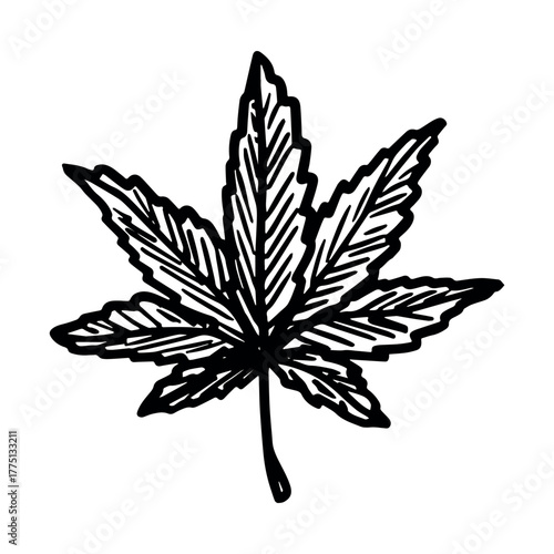 Hand drawn cannabis leaf Medicine marijuana Hemp leaves clipart in doodle style Single element for print, web, design, decor