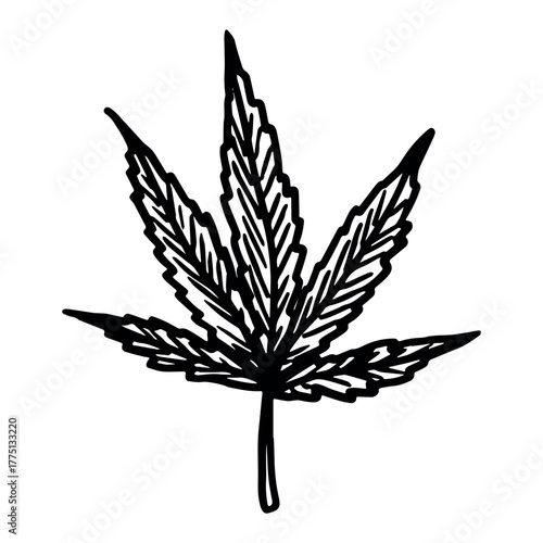 Hand drawn cannabis leaf Medicine marijuana Hemp leaves clipart in doodle style Single element for print, web, design, decor