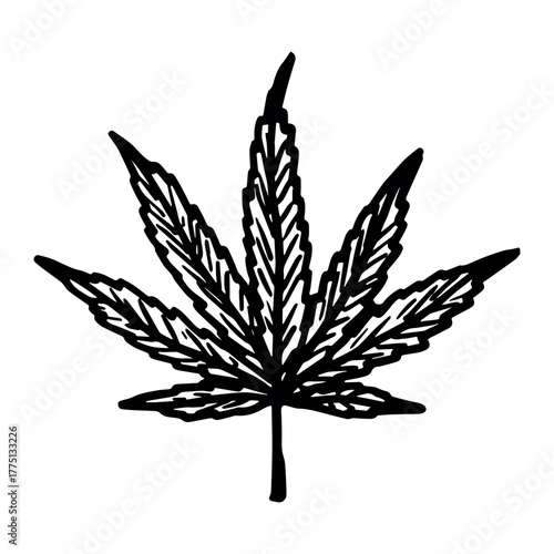 Hand drawn cannabis leaf Medicine marijuana Hemp leaves clipart in doodle style Single element for print, web, design, decor