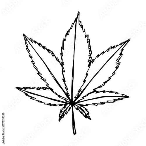 Hand drawn cannabis leaf Medicine marijuana Hemp leaves clipart in doodle style Single element for print, web, design, decor
