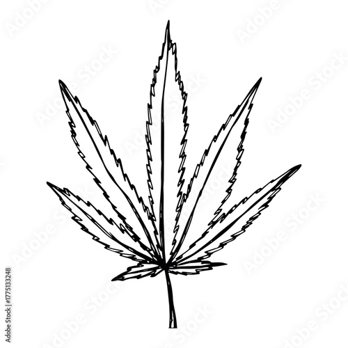 Hand drawn cannabis leaf Medicine marijuana Hemp leaves clipart in doodle style Single element for print, web, design, decor