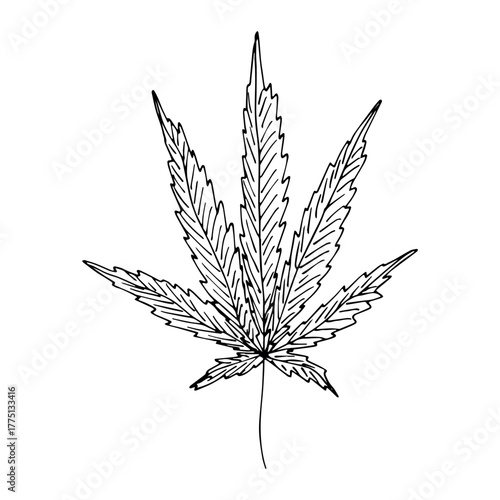 Hand drawn cannabis leaf Medicine marijuana Hemp leaves clipart in doodle style Single element for print, web, design, decor