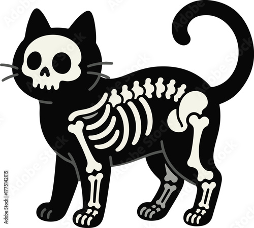 Cute black cat skeleton, spooky and anatomical vector illustration