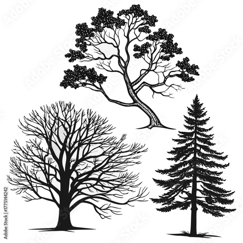 Set of three different tree silhouettes