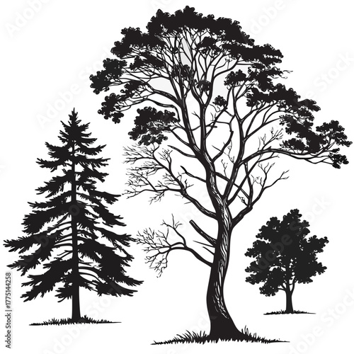 Three different tree silhouettes on for design element