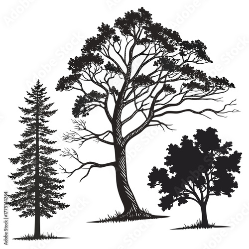 Set of three tree silhouettes for decoration