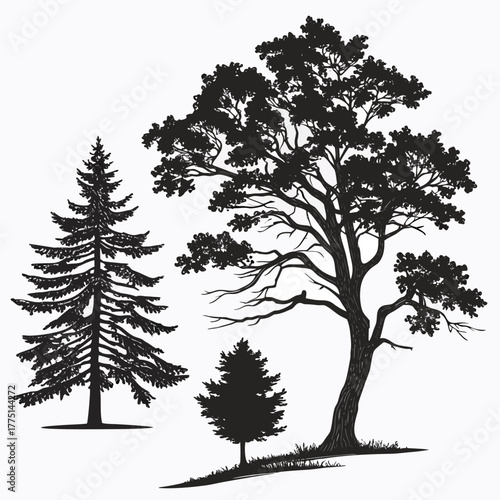 Silhouette of various trees in vector format