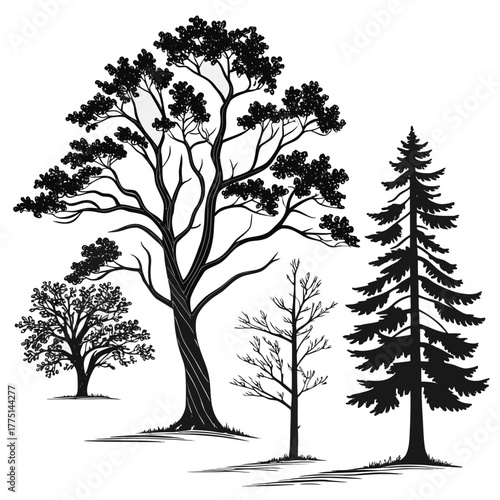 Silhouette of various trees in vector format