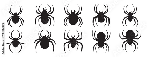 silhouette spider Halloween decorative elements set. spider isolated Halloween black spider silhouettes design for decor.