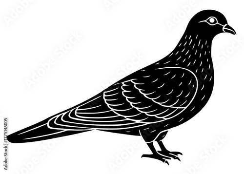 vector illustration of a hen