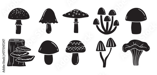 mushrooms silhouette monochrome with patterns illustration set. Trendy mushroom creative fabulous mystic folklore collection