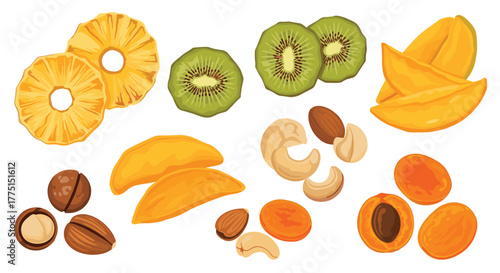 A colorful and healthy assortment of dried fruits and nuts, featuring pineapple, kiwi, mango, macadamia, cashew, almond, and apricot, on a white background.