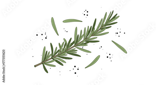 Hand-drawn illustration of a fresh rosemary sprig with scattered individual leaves and black pepper-like speckles on a white background.