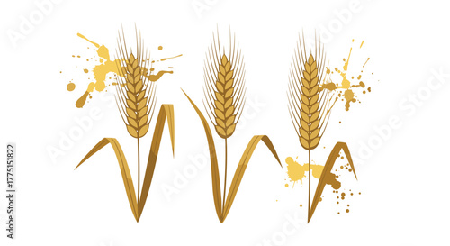 Three golden wheat stalks with artistic paint splatters against a white background, representing harvest and natural grains.