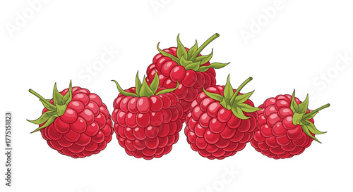 An artistic vector illustration showcasing a cluster of ripe, ruby-red raspberries with their green sepals on a clean white background.