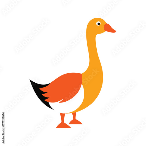 Cartoon orange and white goose standing on white background bird animal