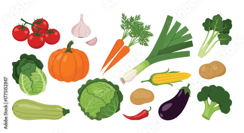 A vibrant assortment of fresh, healthy vegetables including tomatoes, pumpkin, carrots, broccoli, and more, perfect for cooking and healthy eating.