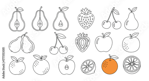Various line art fruit icons including pears, strawberries, cherries, apples, and oranges, with some depicted in cross-section for a healthy concept.