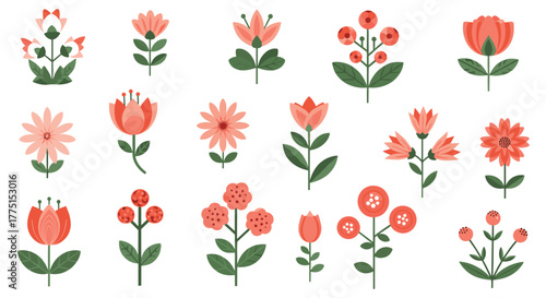 A delightful assortment of stylized floral illustrations featuring coral blooms and green foliage, presented with a clean, modern aesthetic.