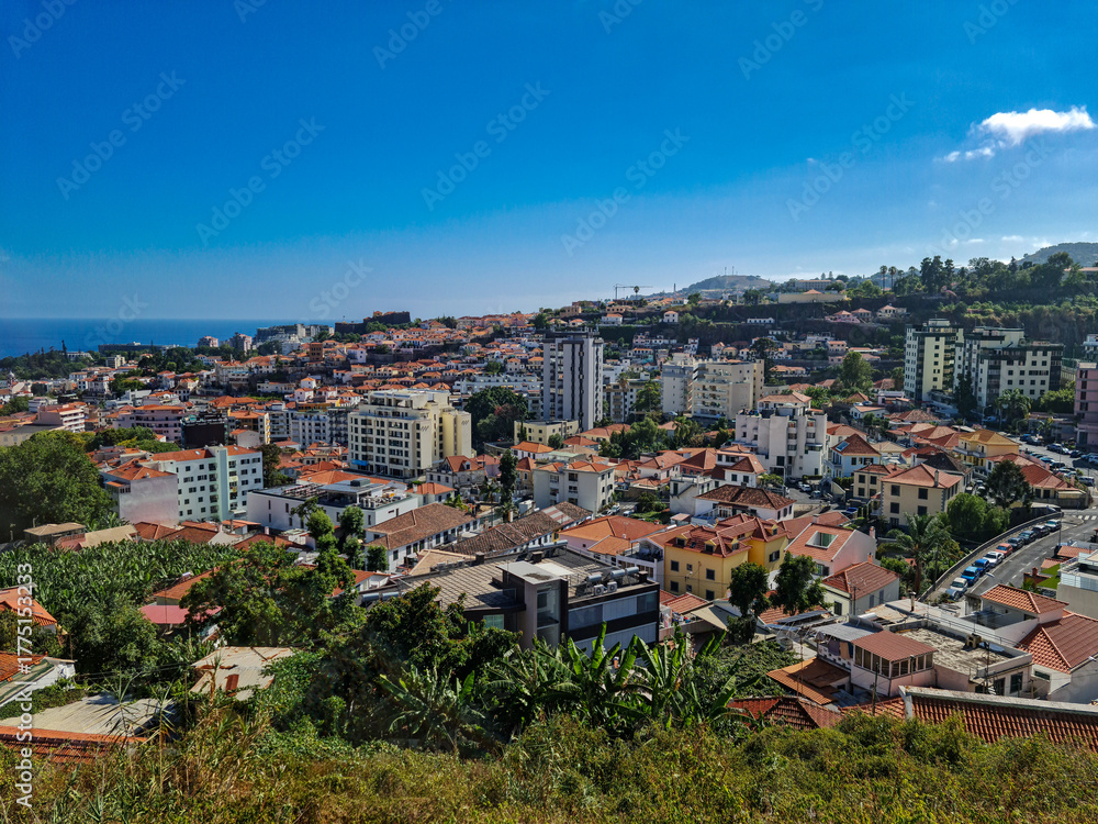 Obraz premium Panoramic View of a Mediterranean or Sub-Tropical City on a Steep Hillside