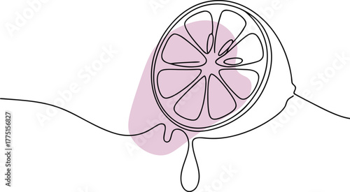 Citrus slice dripping juice abstract art fruit