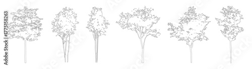 Architectural Tree Outline Drawings, Minimal CAD Line Trees for Site Plans