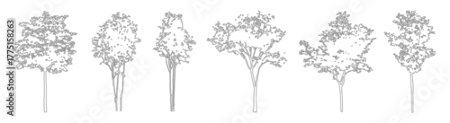 Tapety Architectural Tree Outline Drawings, Minimal CAD Line Trees for Site Plans