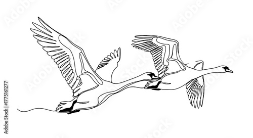 Elegant Swans Flying in Harmony Toward Sunlit Sky: Continuous Line Art Depicting Avian Grace and Freedom in Natural Setting for Wildlife Conservation and Environmental Projects, Minimalist Style, Mode