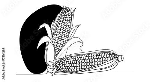 Harvested Corn Cobs Still Life in Minimalist Style: Autumn Abundance Depicted in Continuous Line Drawing for Organic Food Marketing, Agriculture Illustrations, and Healthy Eating Designs- Fresh Produc